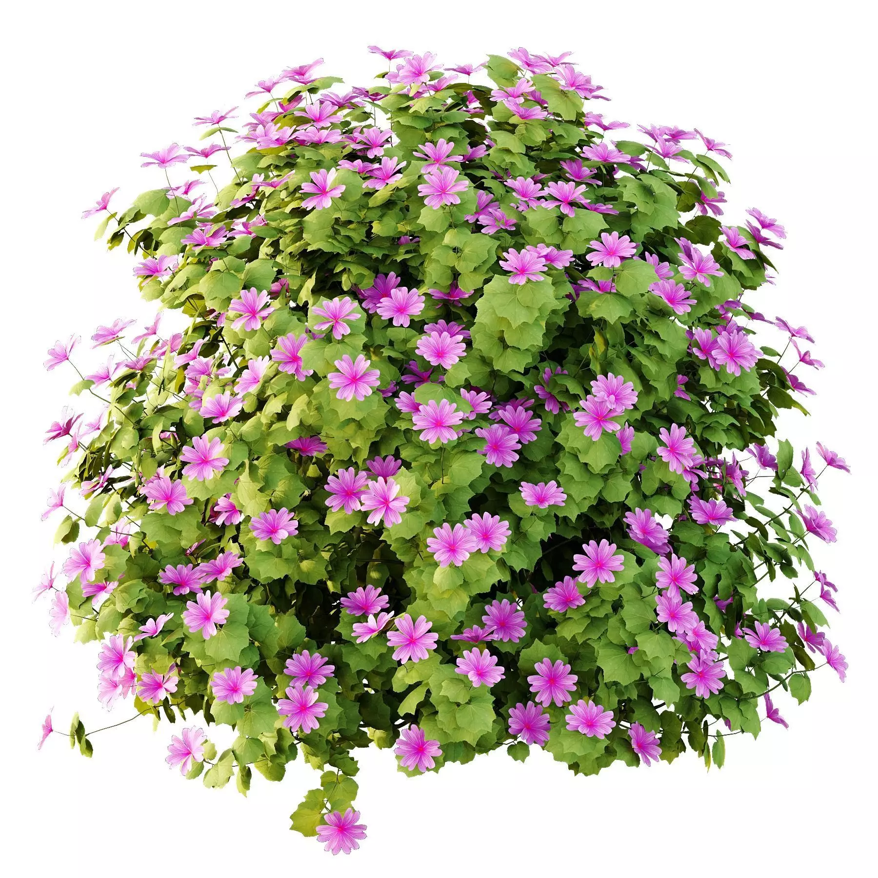 Excellent collection of plants Bush  400 Different Models _195