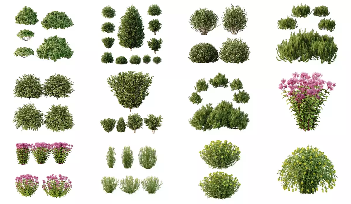 Excellent collection of plants Bush  400 Different Models _14