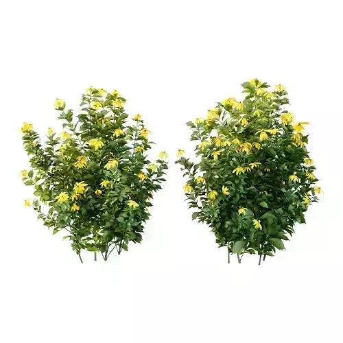 Excellent collection of plants Bush  400 Different Models _61