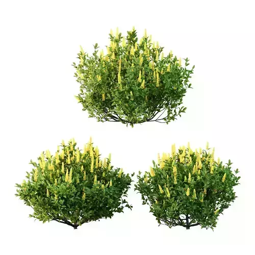 Excellent collection of plants Bush  400 Different Models _48