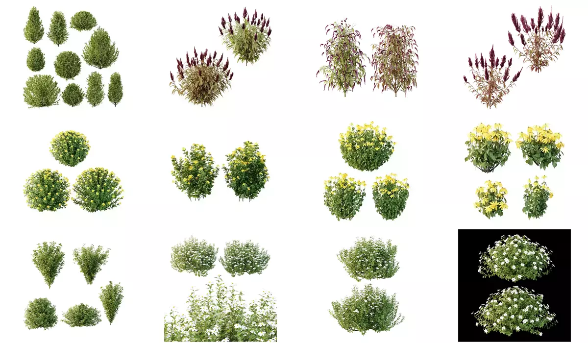 Excellent collection of plants Bush  400 Different Models _6