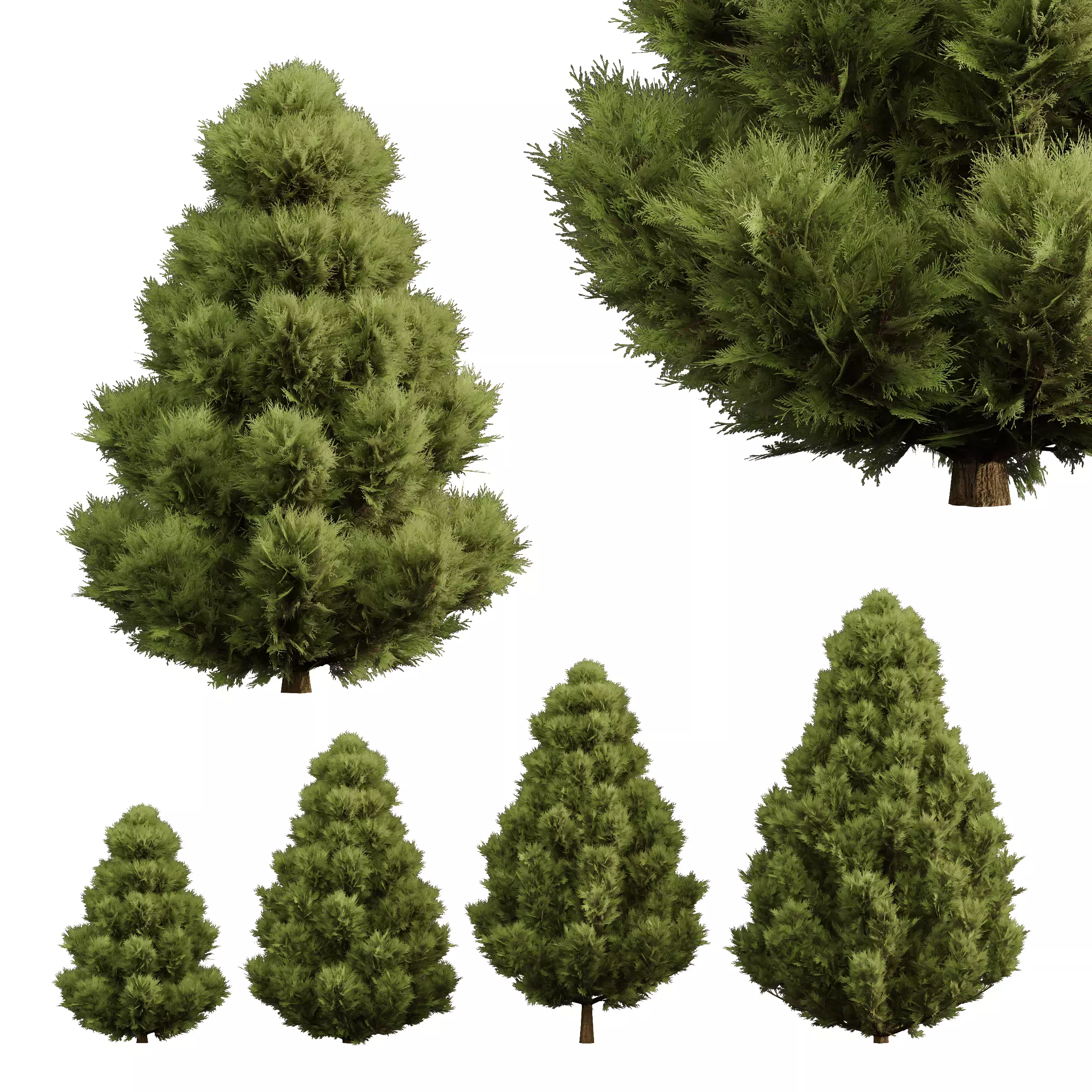 Excellent collection of plants Bush  400 Different Models _93