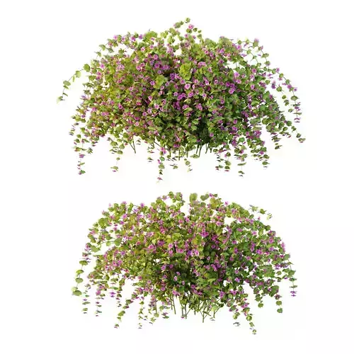 Excellent collection of plants Bush  400 Different Models _92