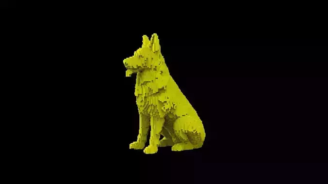 Dog voxel