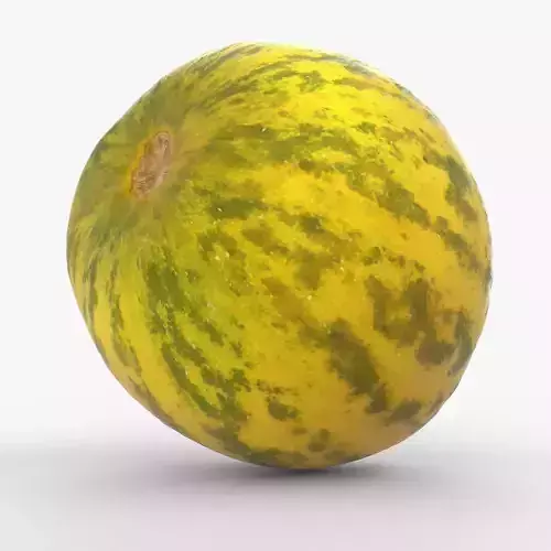 Photorealistic 3D scan of fresh whole melon Low-poly 3D model