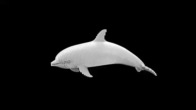 Dolphin Slice Form - parametric - multiLayer
