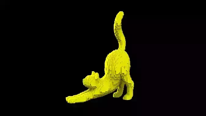 cat voxel