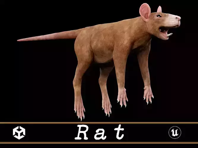 Rat - Animal Low-poly 3D model