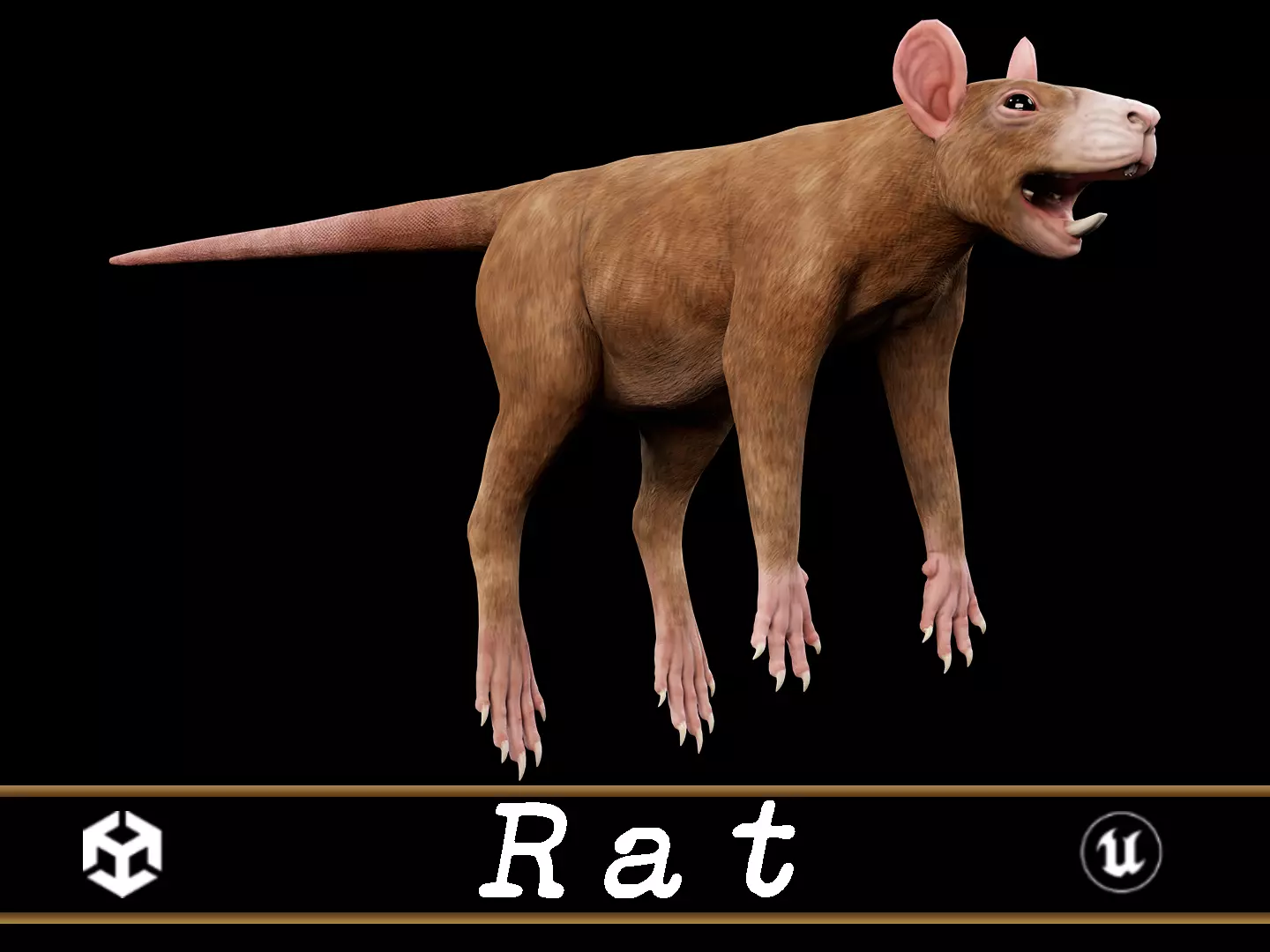 Rat - Animal Low-poly 3D model