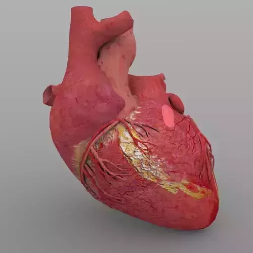 Heart1 with Textures