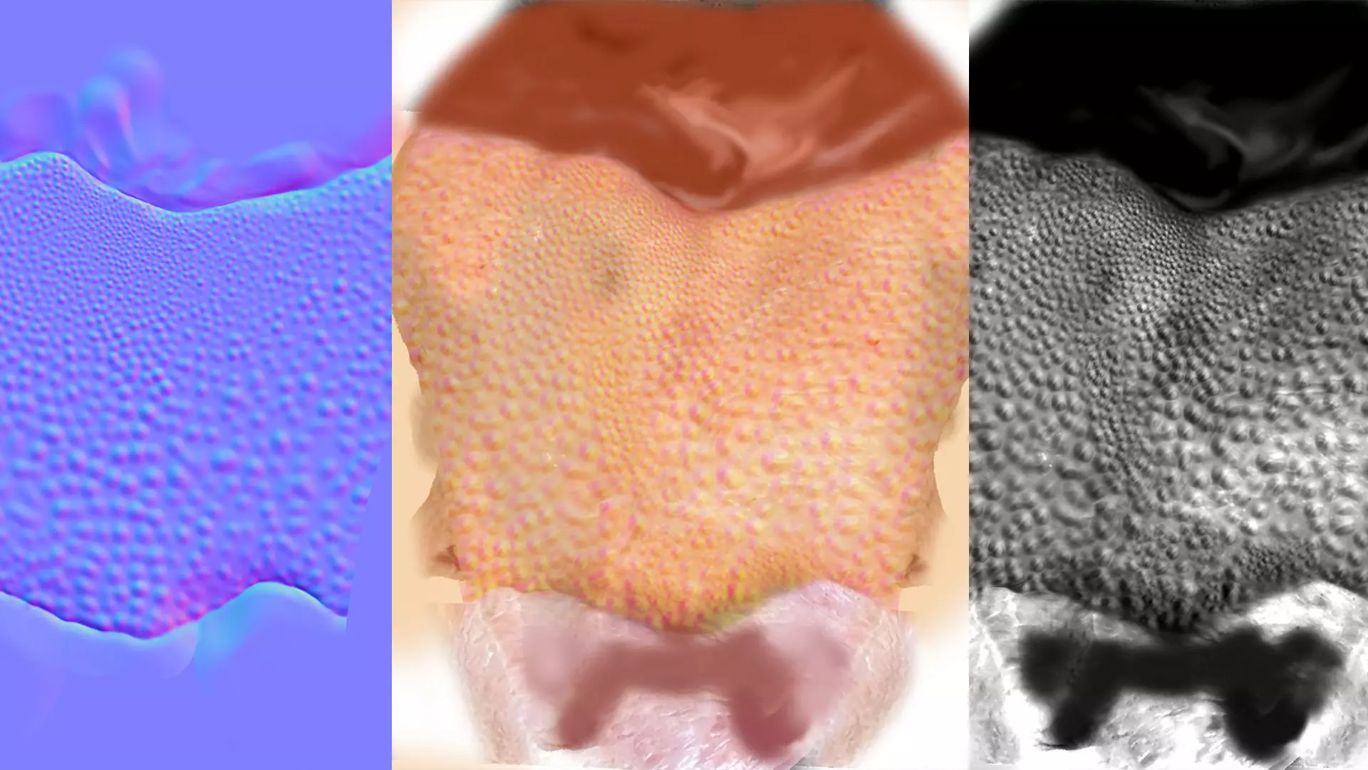 Chicken Leg Low-poly 3D model_7