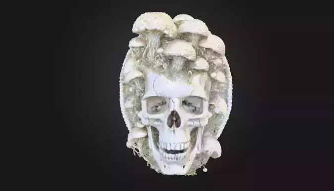 Skull Mushroom Eternal Bloom 3D print model