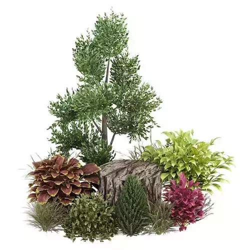  Backyard and landscape garden tree and shrub 02