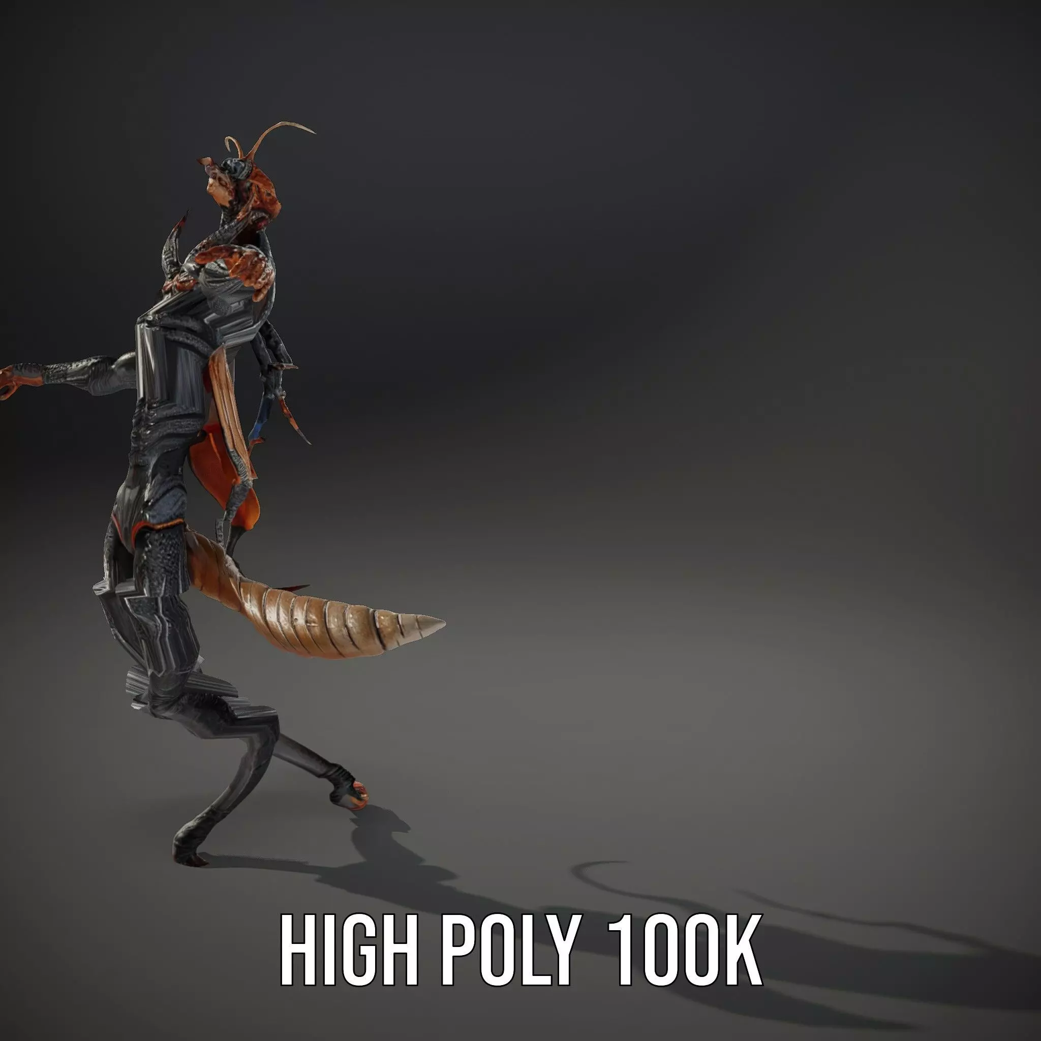 Insectoid Creature Model Pack with Textured Exoskeleton Low-poly 3D model_34
