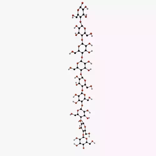 Cellulose Molecule