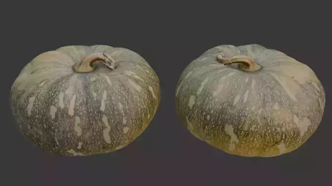  Pumpkin Scan