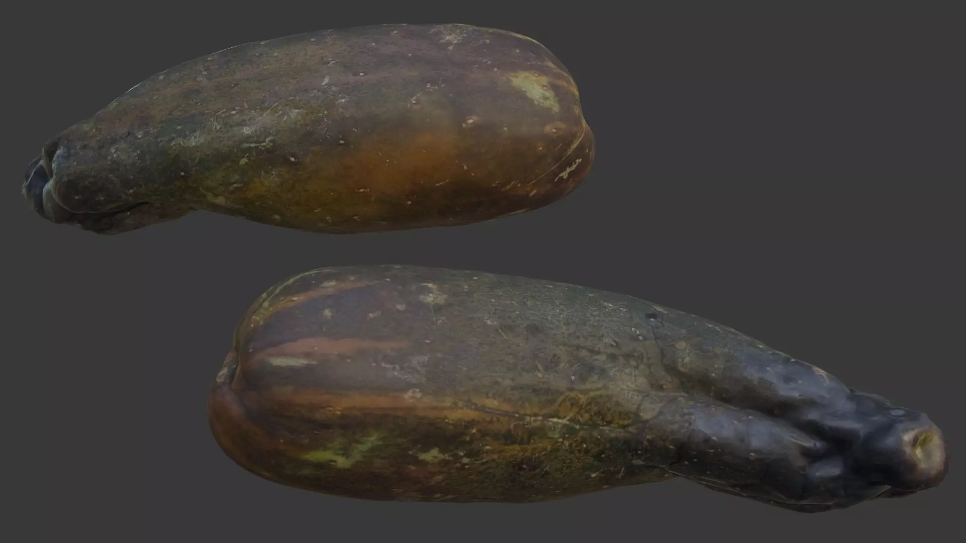 Aged Squash Scan Low-poly 3D model