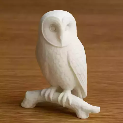 Barn Owl Standing On A Branch