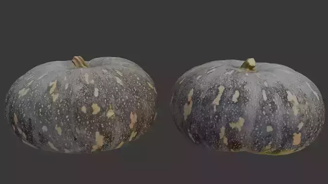  Mottled Pumpkin Scan