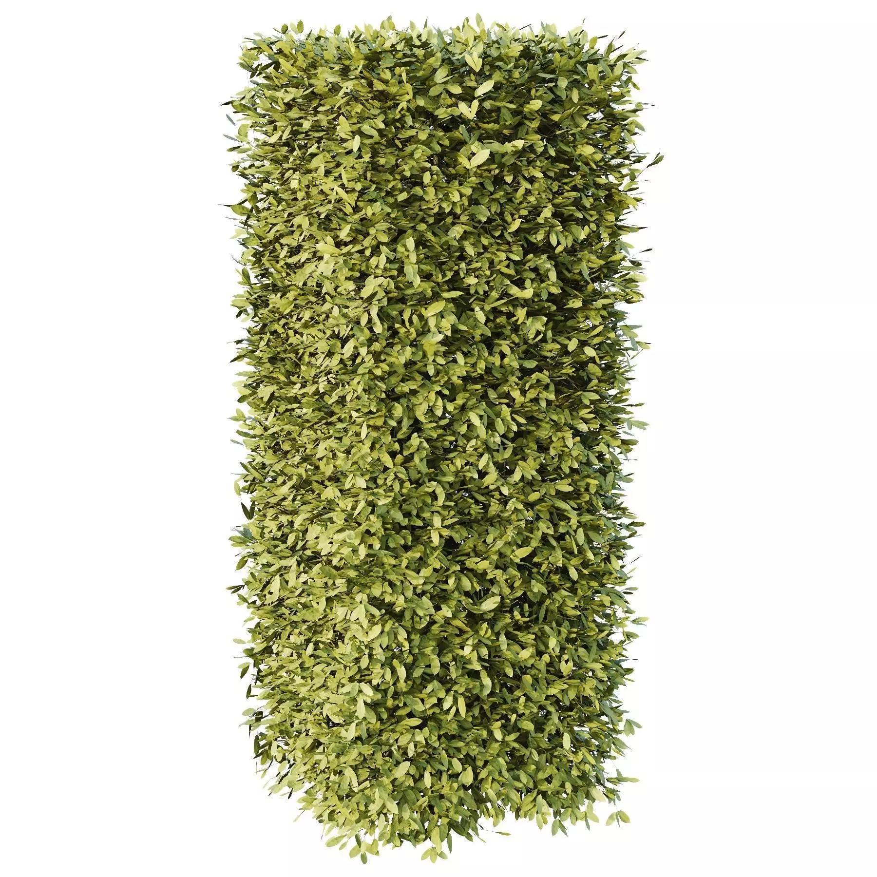 Excellent collection of Outdoor plants  37 Different Models _20