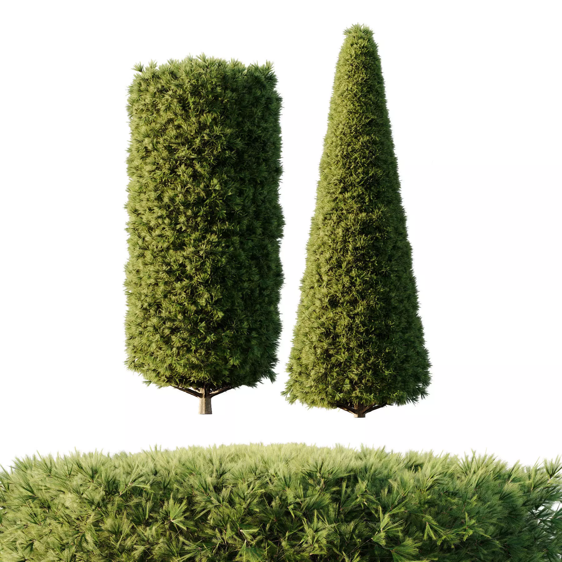 Excellent collection of Outdoor plants  37 Different Models _29