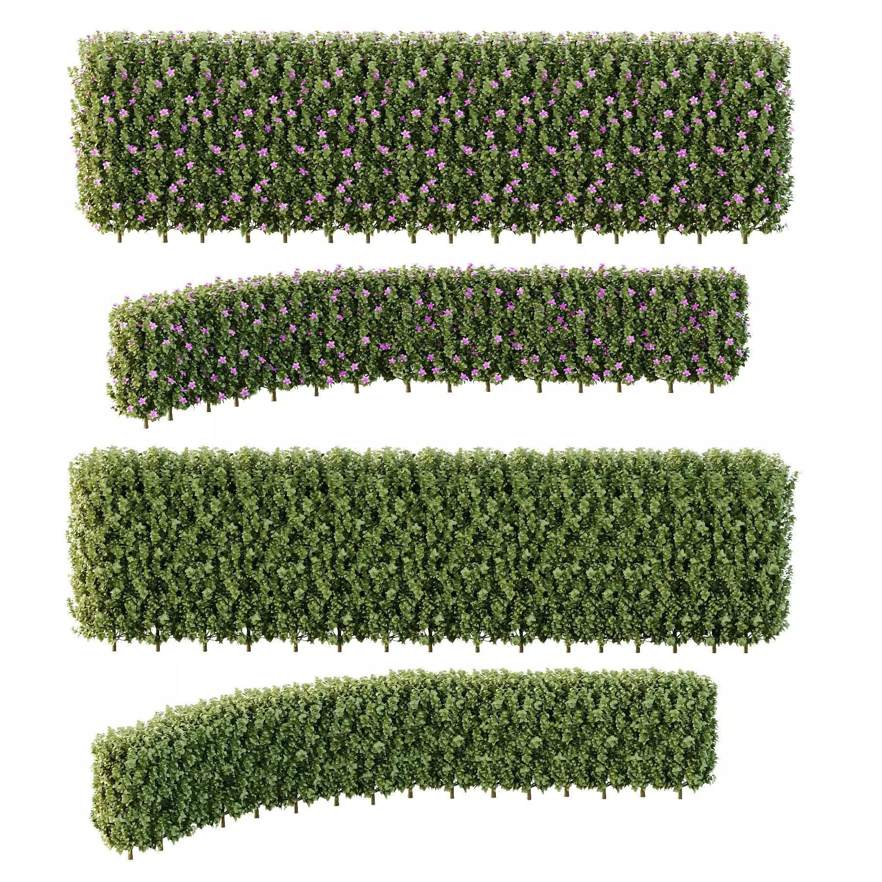 Excellent collection of Outdoor plants  37 Different Models _27