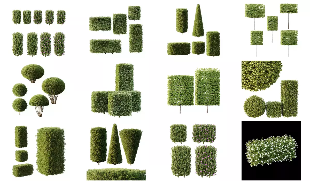 Excellent collection of Outdoor plants  37 Different Models _0