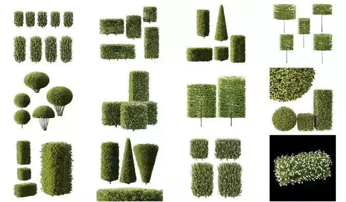 Excellent collection of Outdoor plants  37 Different Models  Excellent collection of Outdoor plants  37 Different Models