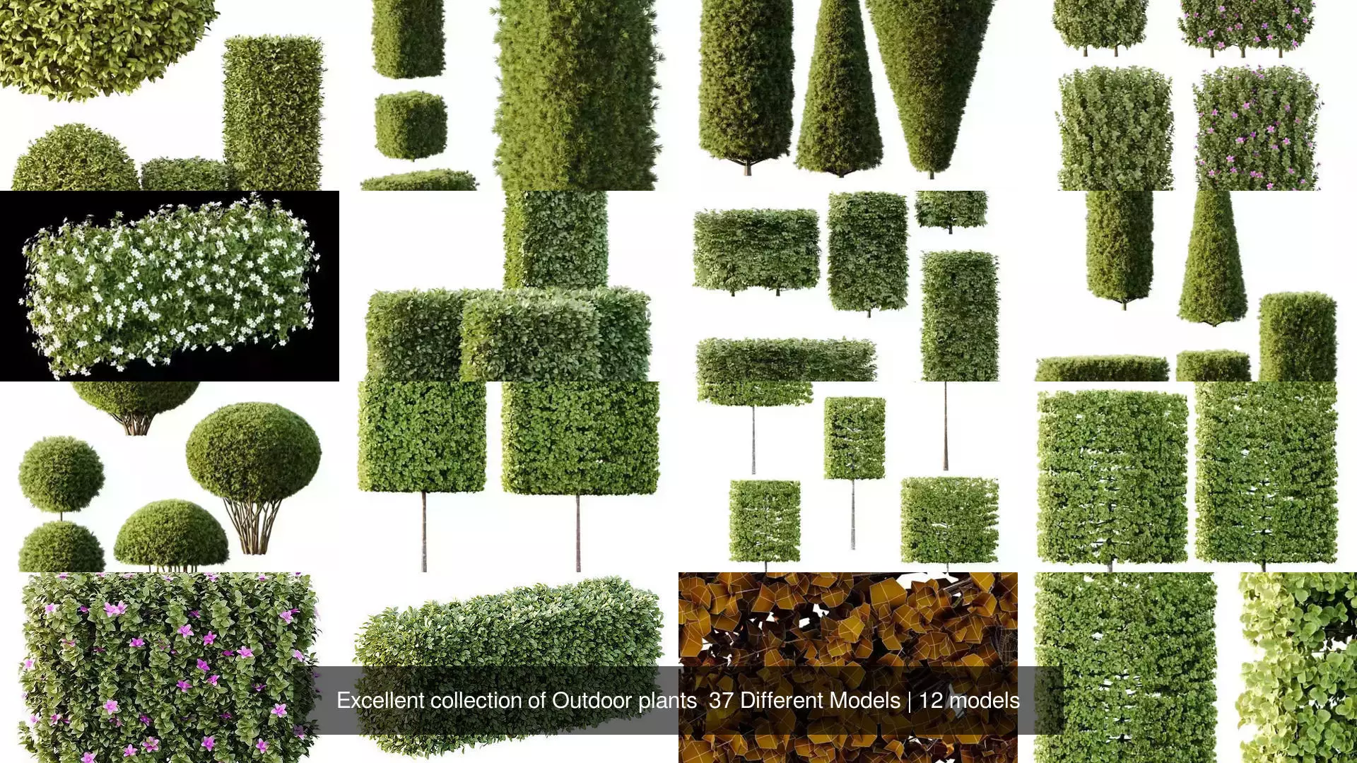 Excellent collection of Outdoor plants  37 Different Models _1