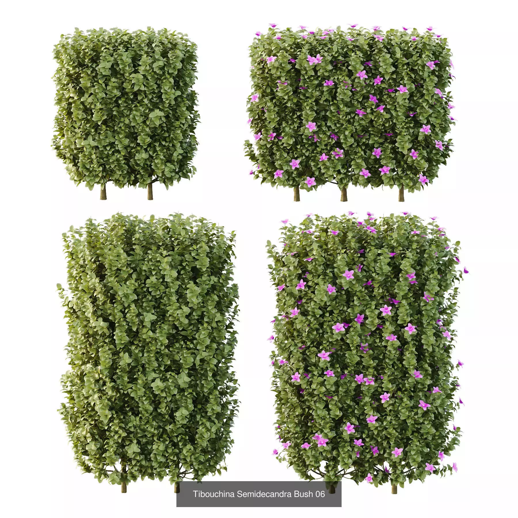 Excellent collection of Outdoor plants  37 Different Models _4