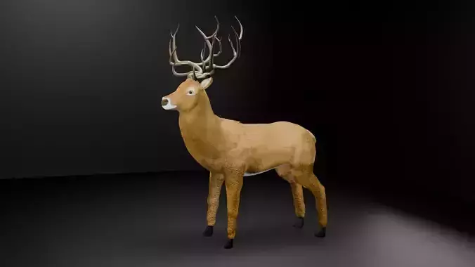 Deer Separated Objects BodyAntlersEyesFur
