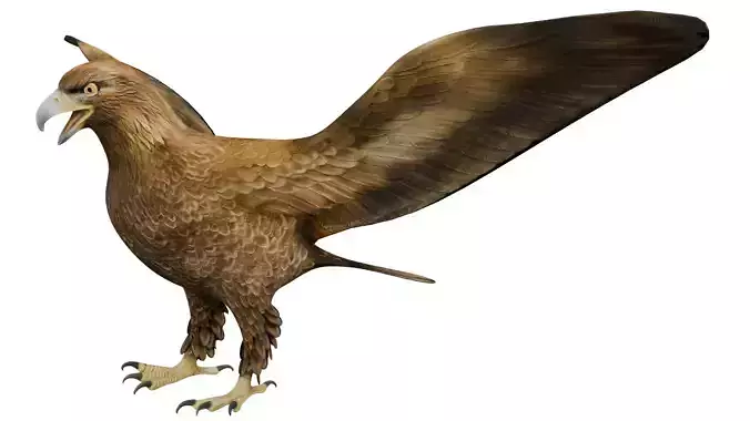 Eagle 3D model