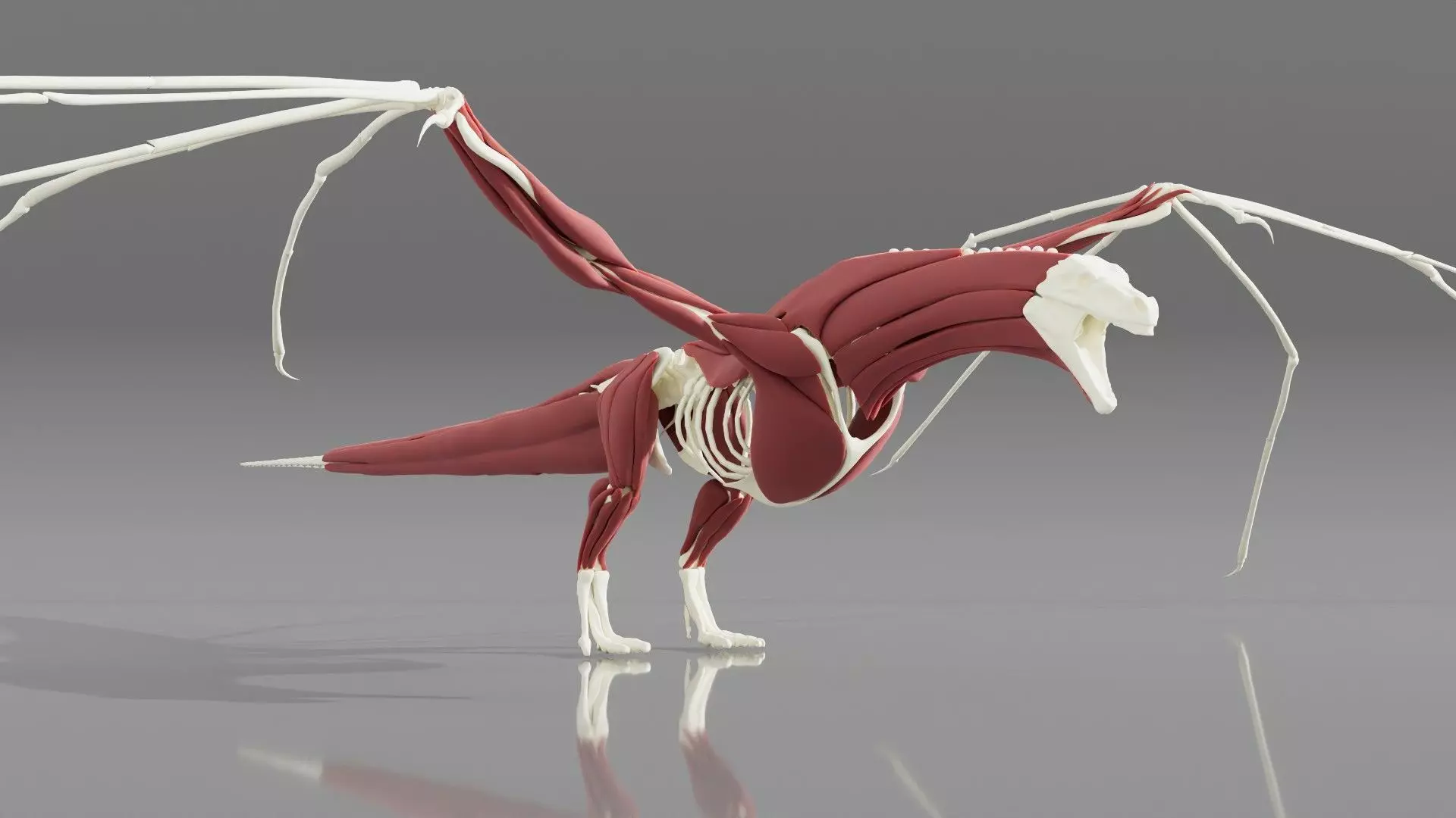Ymirak - Rigged Dragon 3D model_13