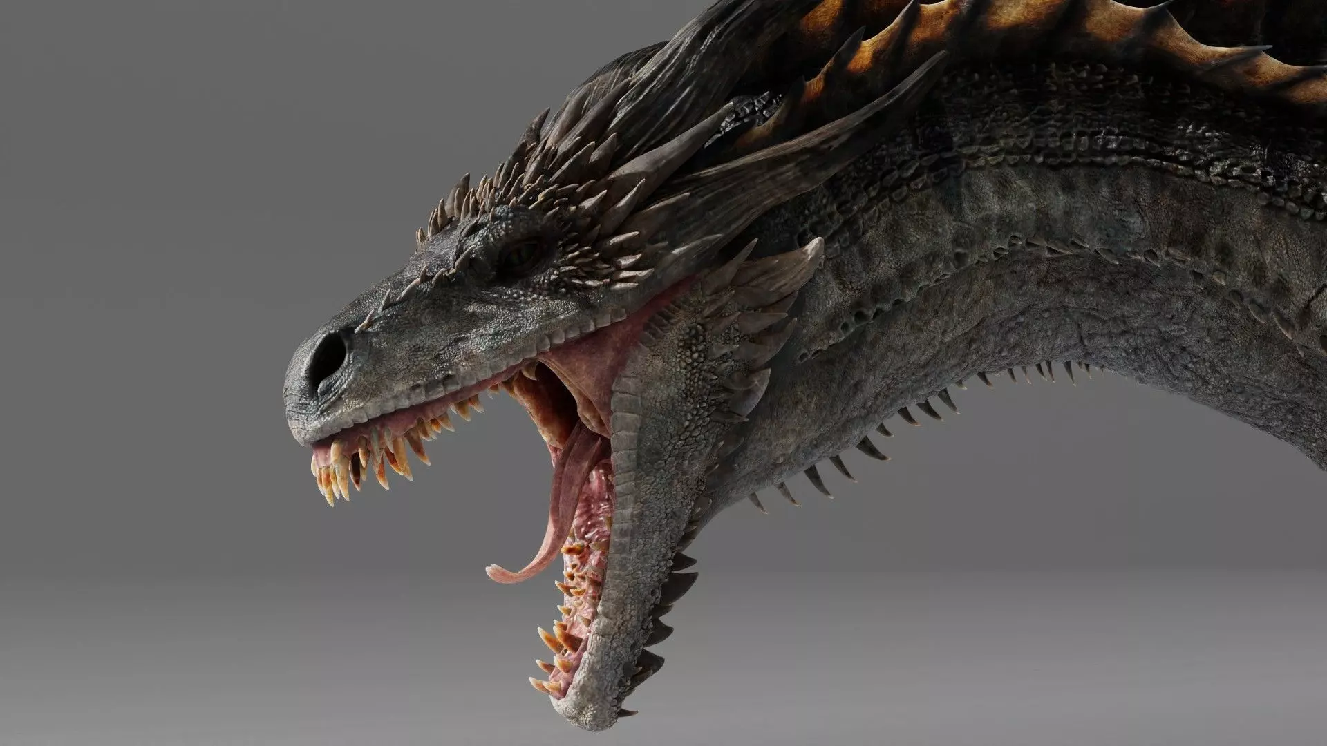 Ymirak - Rigged Dragon 3D model_11