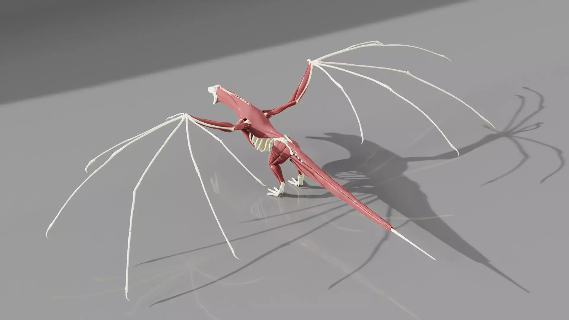 Ymirak - Rigged Dragon 3D model_14