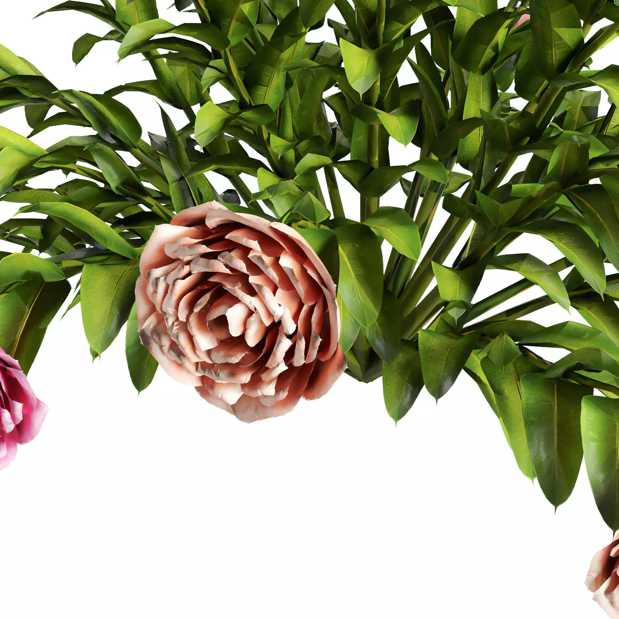 flower garden 3D model_2