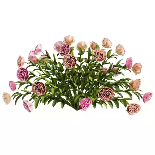 flower garden 3D model