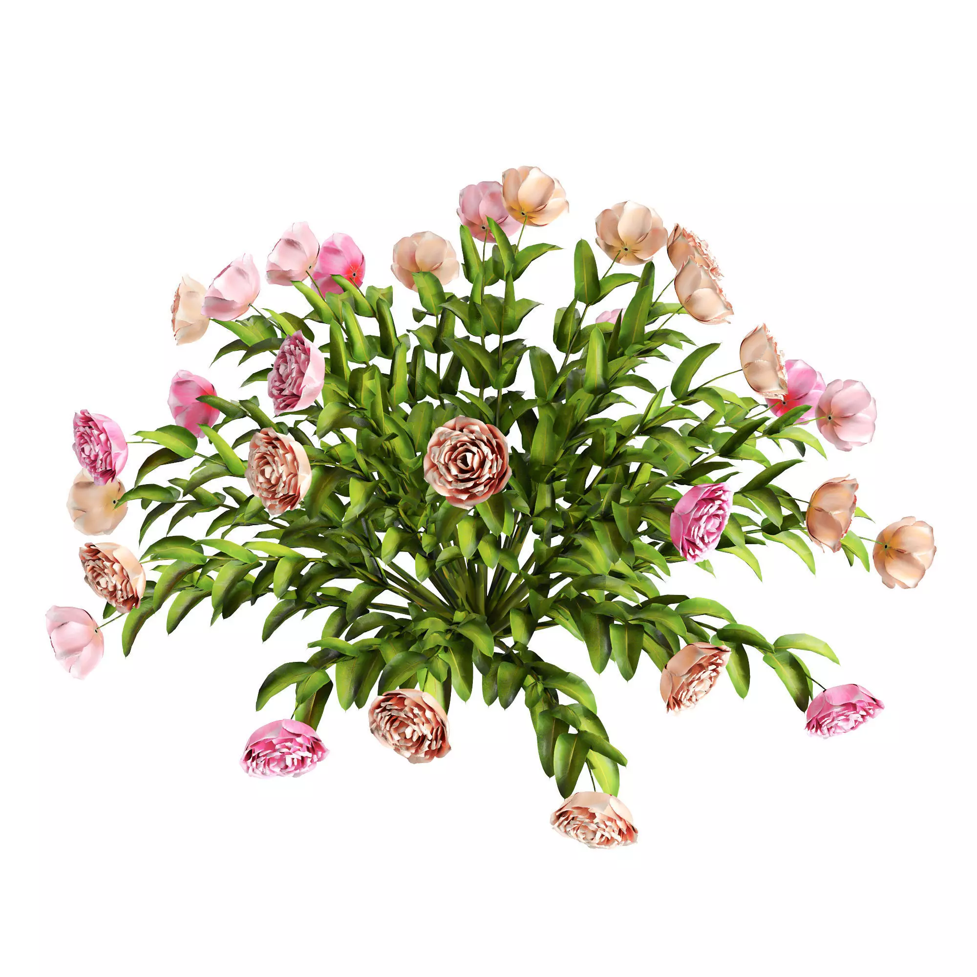 flower garden 3D model_1