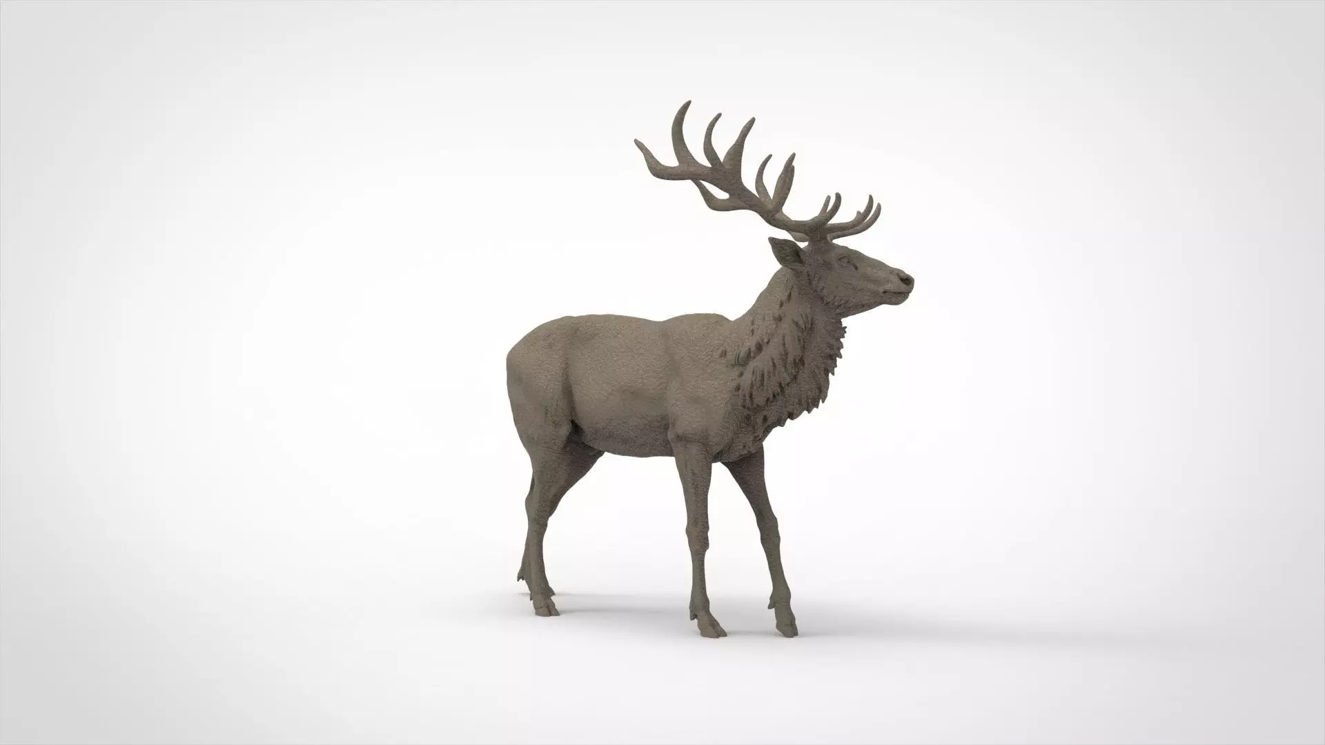 deer 8 3D print model