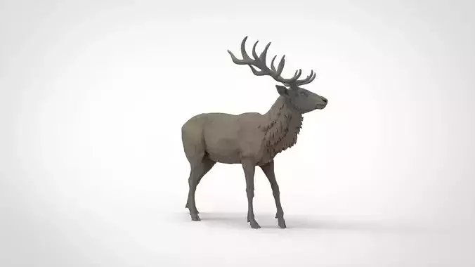 deer 8