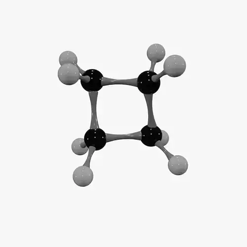 Cyclobutane Molecule