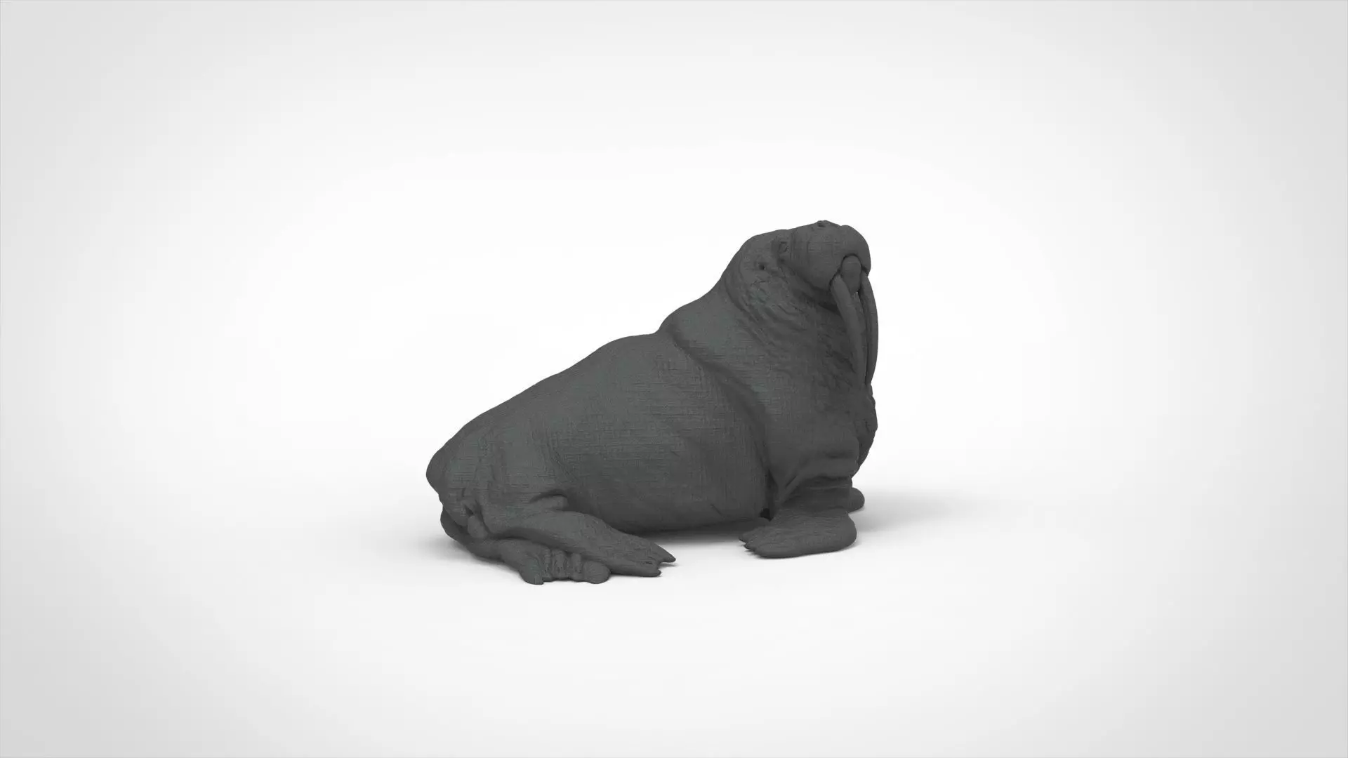 walrus 3D print model