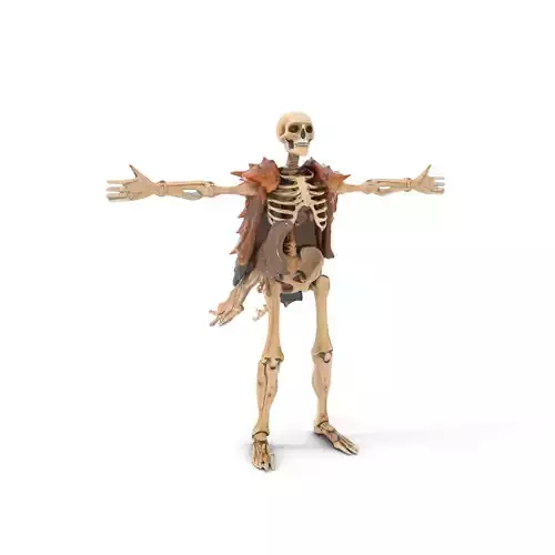 Skeleton Warrior with Armor Model Pack