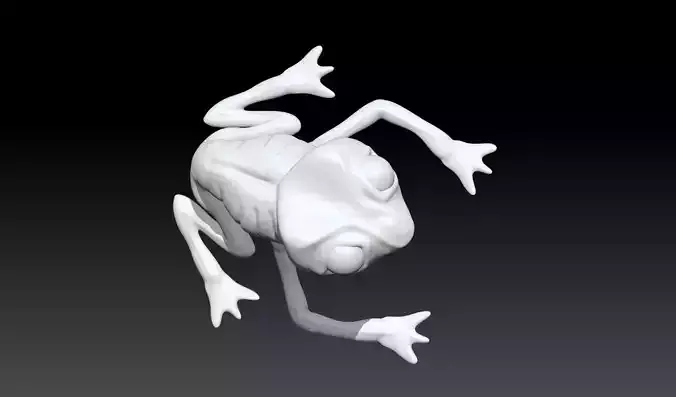 Frog Pendant Relief STL 3D Model