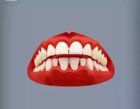 Human teeth and gums 3d Model 3D print model