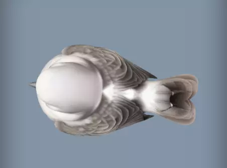 3d model of Snowy white bird in winter 3D print model_4