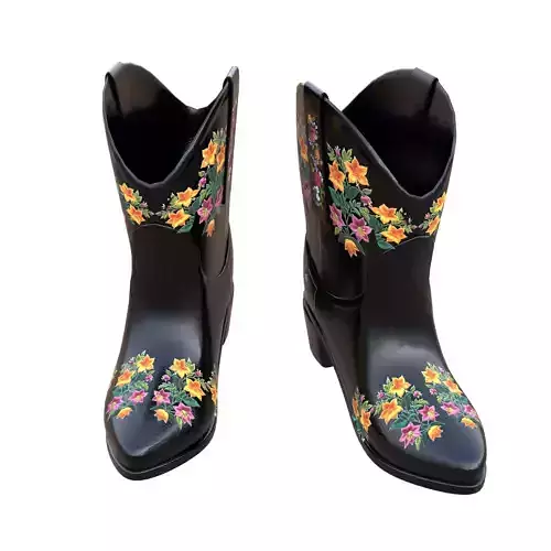 Black Leather Cowgirl Boots