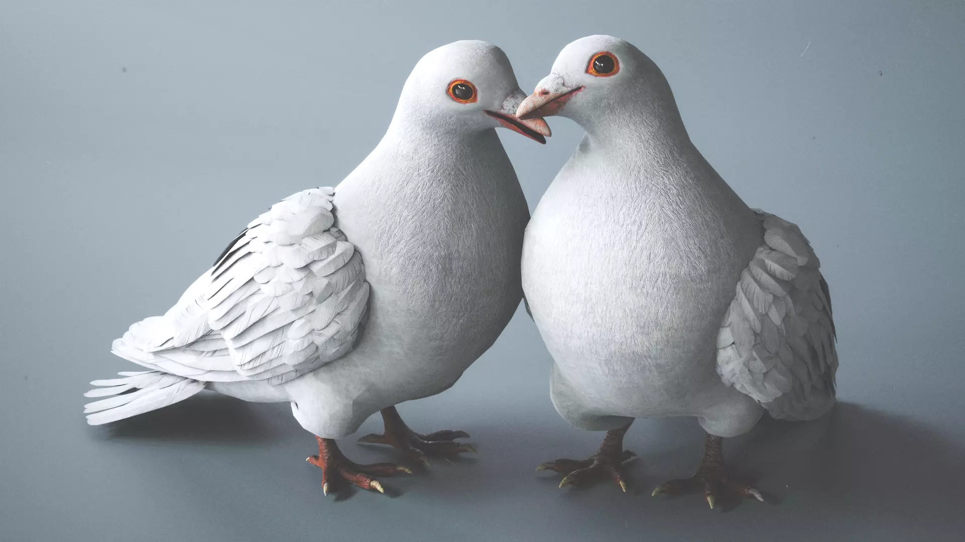 Wedding Dove Low-poly 3D model_1
