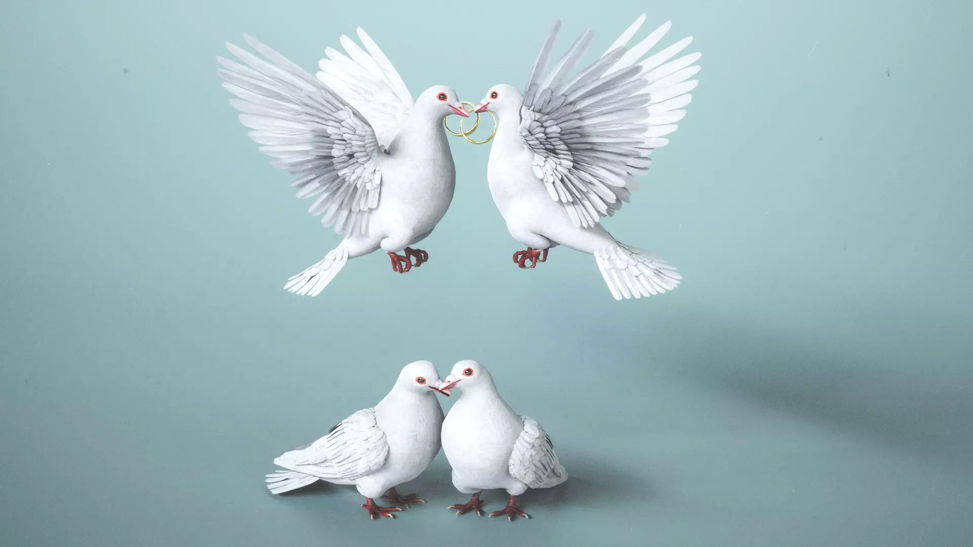 Wedding Dove Low-poly 3D model_3
