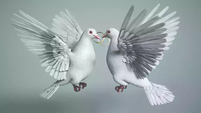 Wedding Dove Low-poly 3D model
